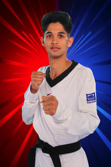 Ankit MER